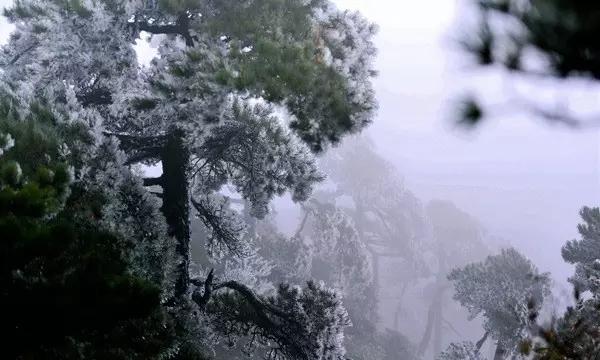 三小只僵尸的游戏时间5