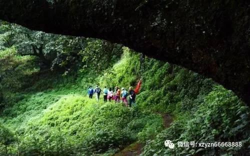拯救精灵的土地6