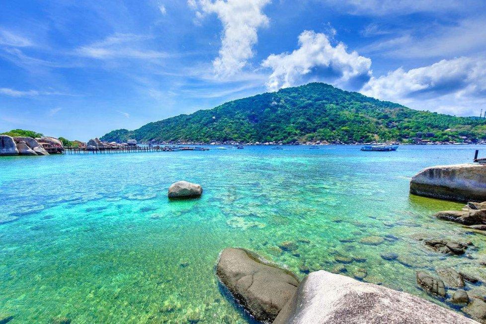 逃离水虎鱼湖